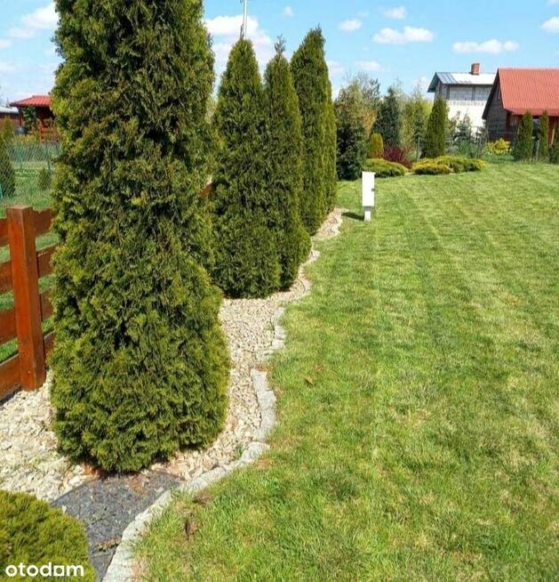 Działka 460m2 ROD 700-lecia Buk k. Poznania