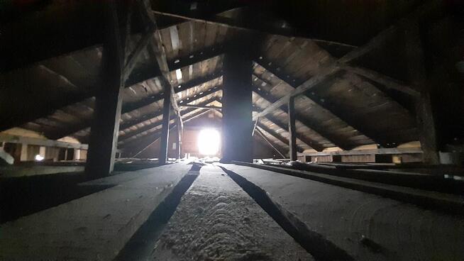 Siedlisko z domkiem, dla miłosników lasu niedaleko od W-wy,