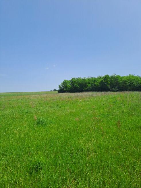 Działka BudowlanaStrożyska gmina Nowy Korczyn Busko Zdrój
