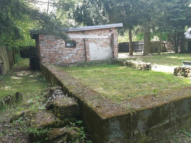 Siedlisko z domkiem, dla miłosników lasu niedaleko od W-wy,