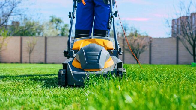 Koszenie traw, trawników, przycinanie tui, wertykulator