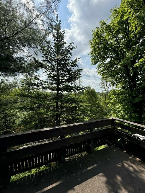 Nad brzegiem rzeki Brdy..- Tu czas płynie wolniej..