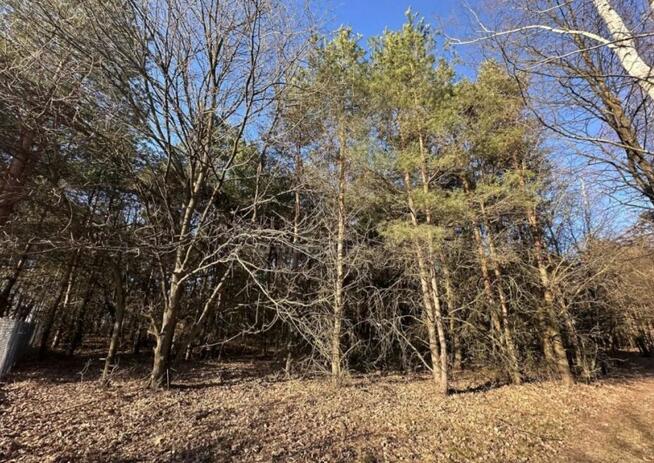 Oaza spokoju zaledwie godzinę od Warszawy