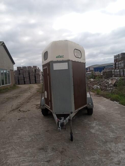 Przyczepa dla koń DMC 1300kg.