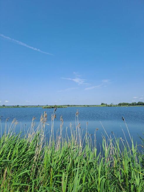 Działki Budowlane Strożyska NOWY Korczyn Busko Zdrój Media O