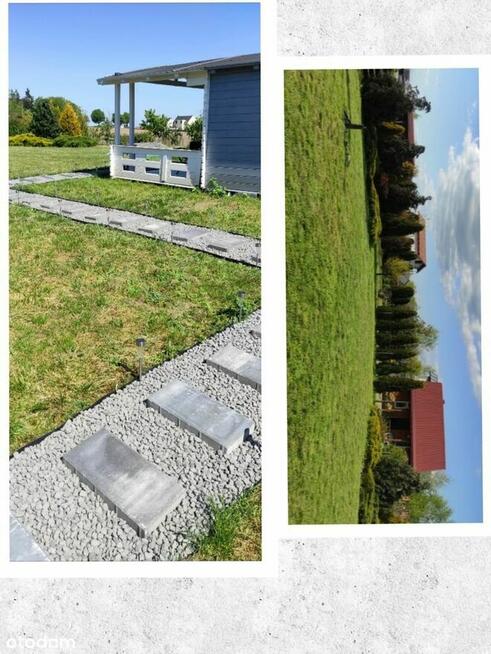 Działka 460m2 ROD 700-lecia Buk k. Poznania