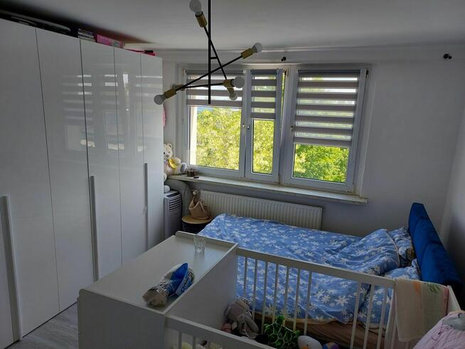 Mieszkanie - ulica Łokietka