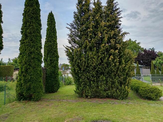 Ogródek działowy ROD Złote Piaski