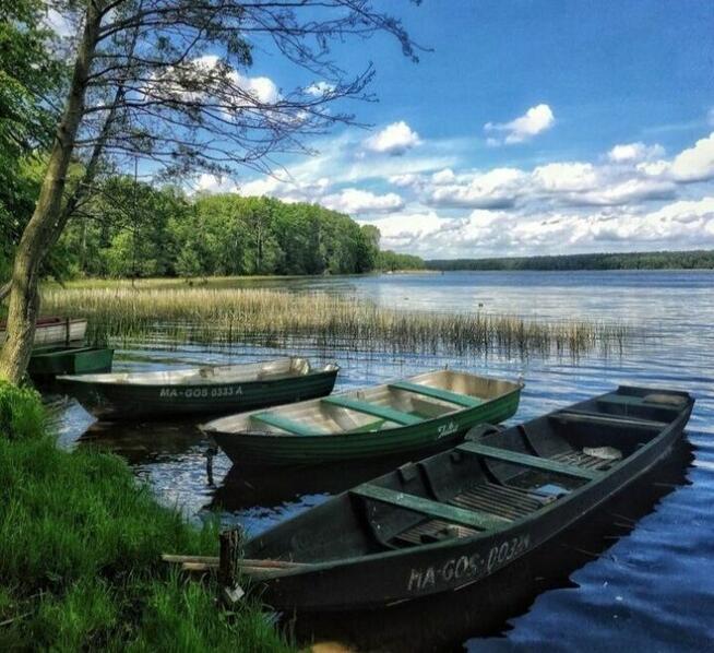 Wynajmę domek letniskowy