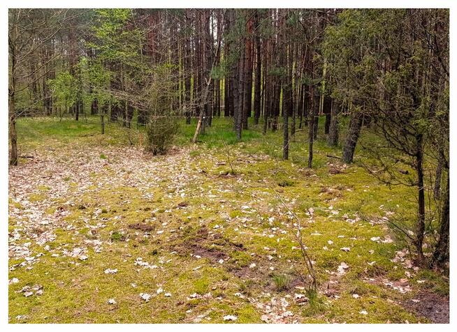 Działka 200m od rzeki Wda- Wdzydzki Park Krajobrazowy