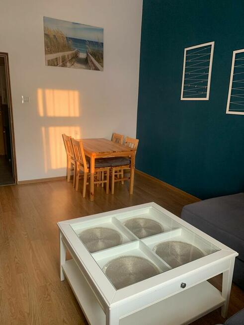 Wynajmę zadbane mieszkanie - Włdysłwowo - od zaraz!