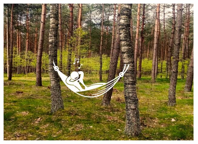 Działka 200m od rzeki Wda- Wdzydzki Park Krajobrazowy