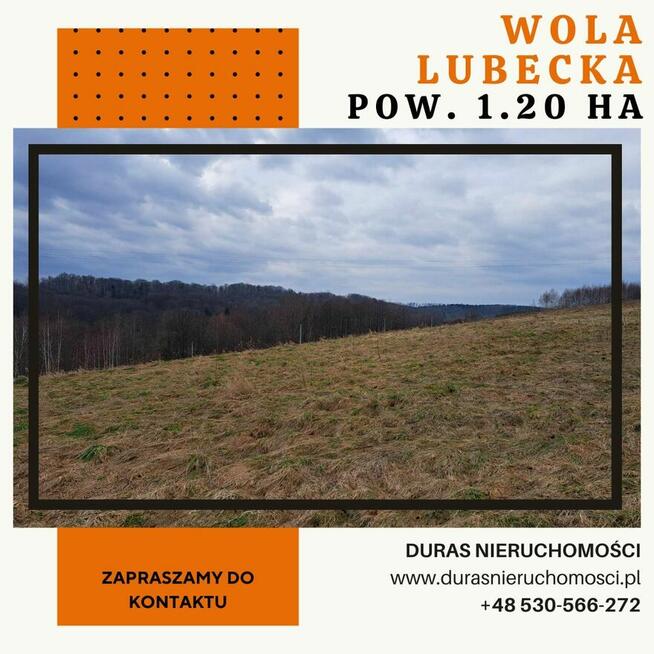 Wola Lubecka działka 1.20 ha