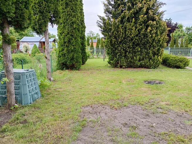 Ogródek działowy ROD Złote Piaski