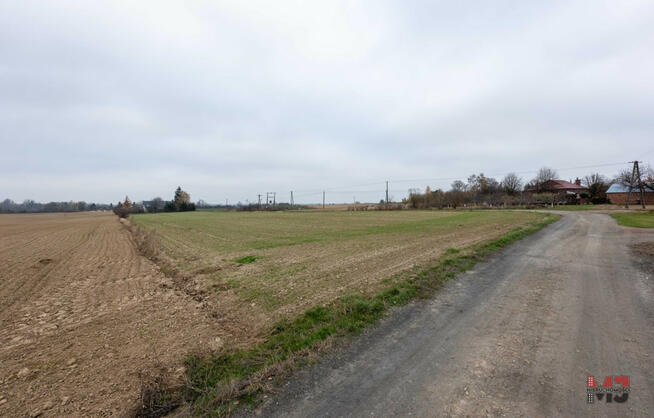 Działka siedliskowa Starościce gm. Milejów,