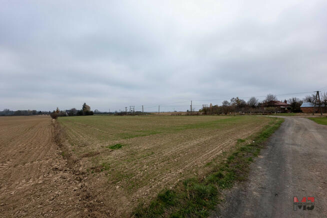 Działka siedliskowa Starościce gm. Milejów,