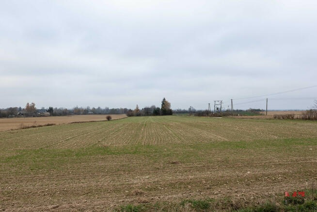 Działka siedliskowa Starościce gm. Milejów,