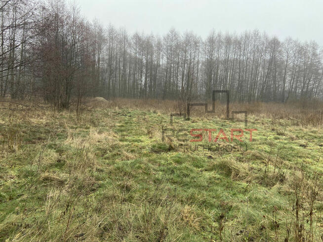 Działka rolna Zboiska gm. Radziejowice,