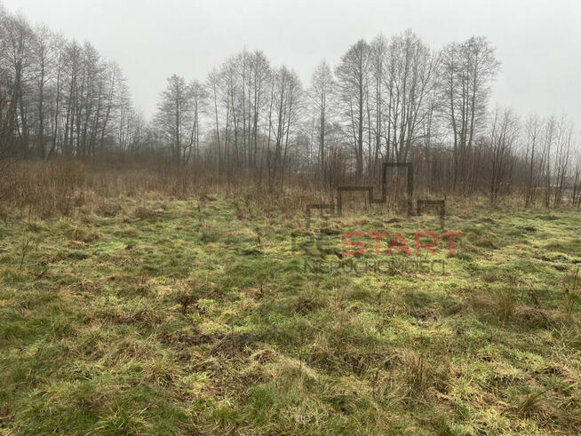 Działka rolna Zboiska gm. Radziejowice,