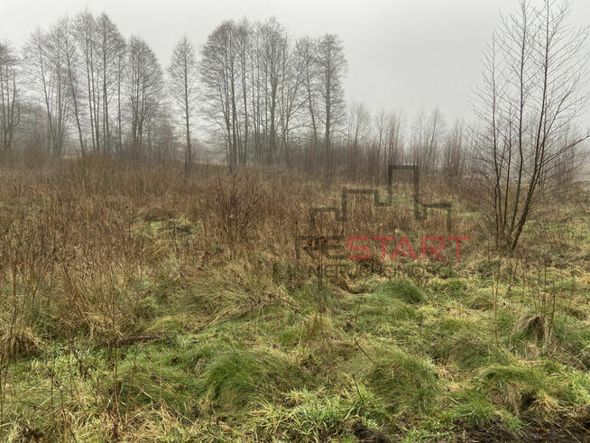 Działka rolna Zboiska gm. Radziejowice,