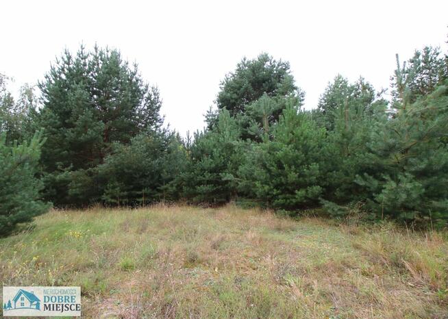 Działka budowlana Piastowo gm. Gąsawa