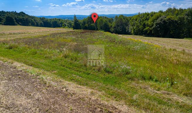 Działka leśna Poręba Spytkowska gm. Brzesko
