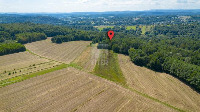 Działka leśna Poręba Spytkowska gm. Brzesko