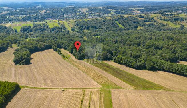 Działka leśna Poręba Spytkowska gm. Brzesko