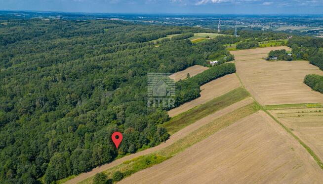 Działka leśna Poręba Spytkowska gm. Brzesko