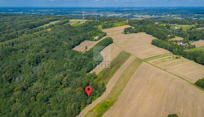 Działka leśna Poręba Spytkowska gm. Brzesko