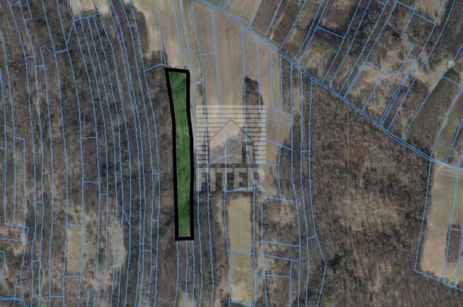 Działka leśna Poręba Spytkowska gm. Brzesko