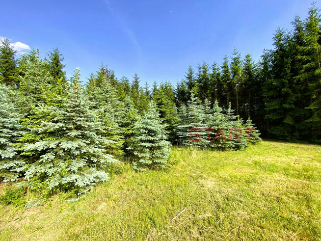 Działka budowlana Gąba gm. Mszczonów,