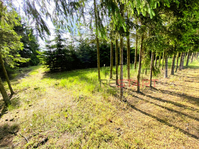 Działka budowlana Gąba gm. Mszczonów,