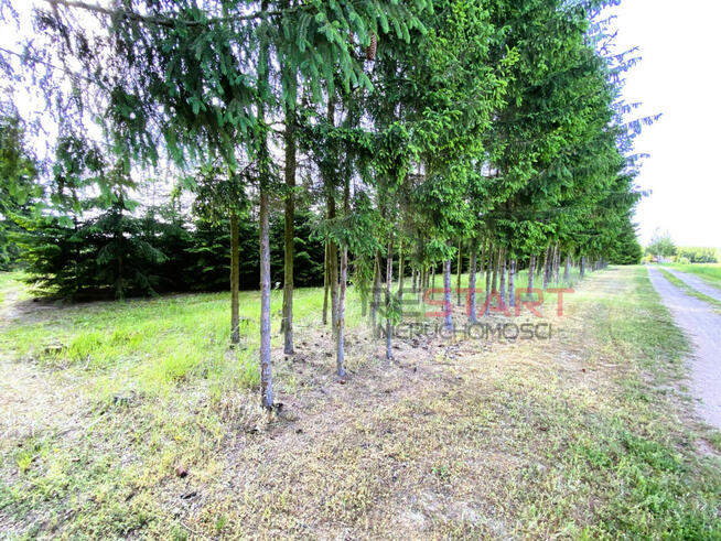 Działka budowlana Gąba gm. Mszczonów,