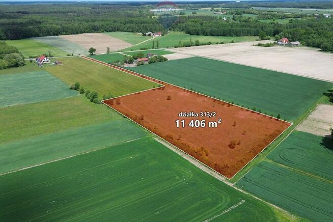 Teren 1,14 ha Korabiewice gm. Puszcza Mariańska