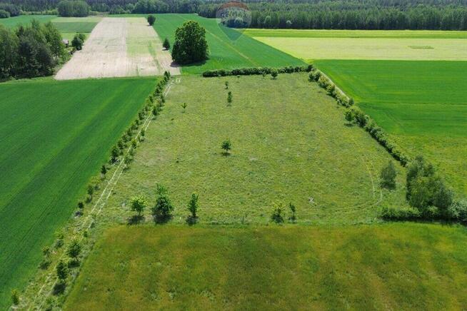Teren 1,14 ha Korabiewice gm. Puszcza Mariańska