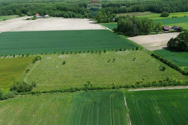 Teren 1,14 ha Korabiewice gm. Puszcza Mariańska
