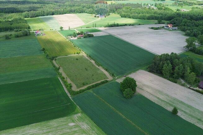 Teren 1,14 ha Korabiewice gm. Puszcza Mariańska