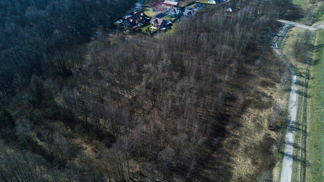 DZIAŁKA W KRAKOWIE PROMOCJA BLACK WEEKS