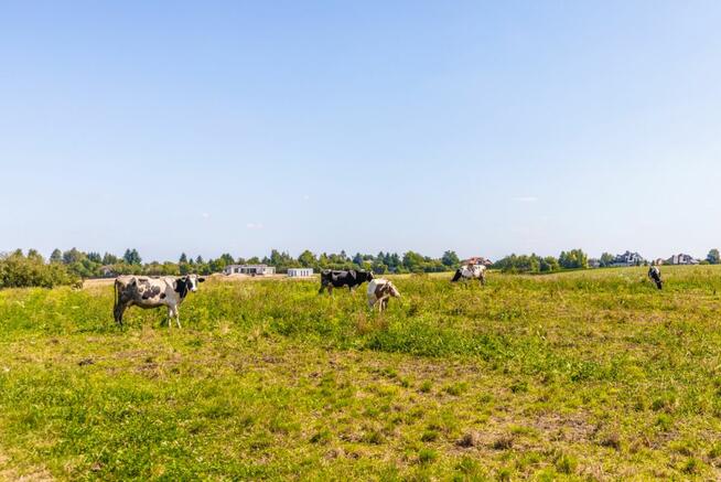 Działka budowlana Uniszowice gm. Konopnica,