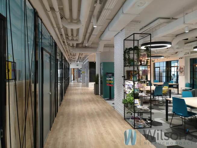 Lokal użytkowy Warszawa gm. Śródmieście Śródmieście, Nowe Miasto, Senatorska