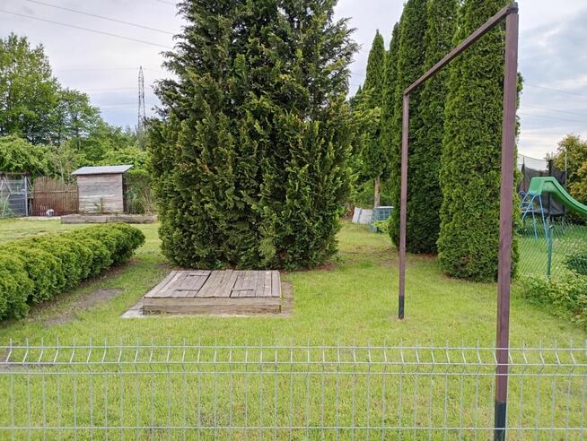 Ogródek działowy ROD Złote Piaski