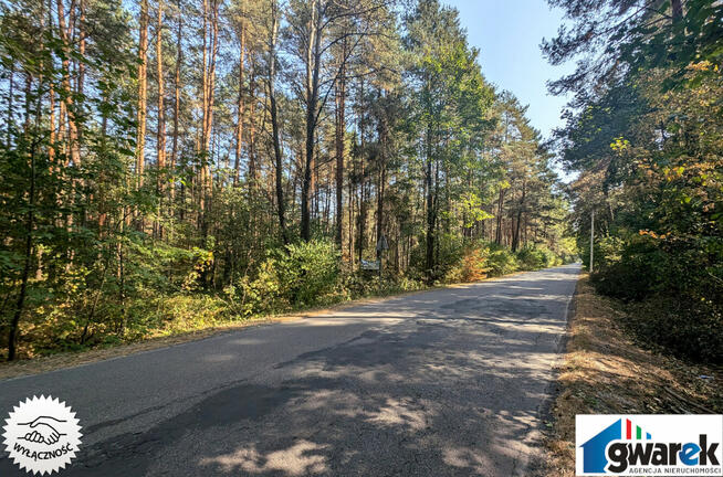 Działka Leśna, 15420 m2, Zederman