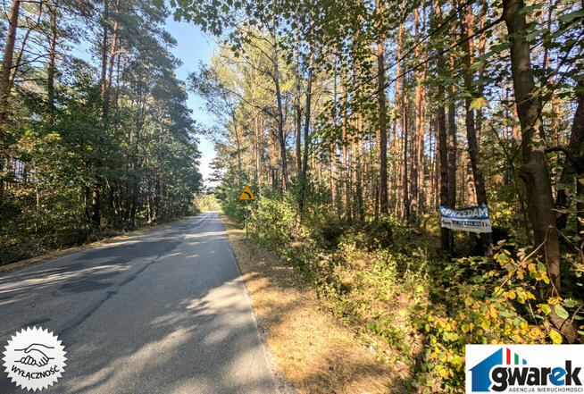 Działka Leśna, 15420 m2, Zederman