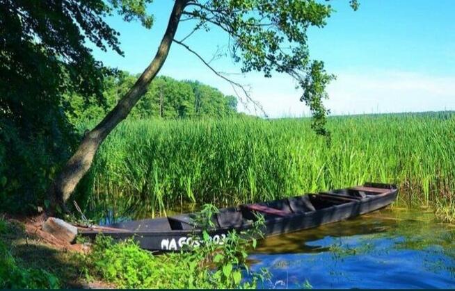 Wynajmę domek letniskowy