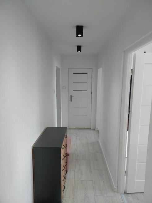 Mieszkanie - ulica Łokietka