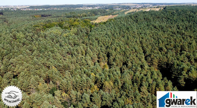 Działka Leśna, 15420 m2, Zederman