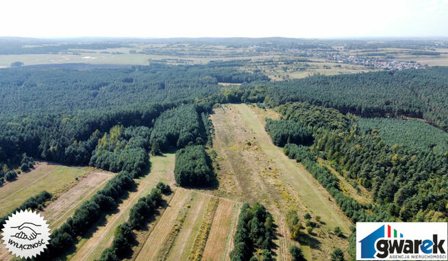 Działka Leśna, 15420 m2, Zederman