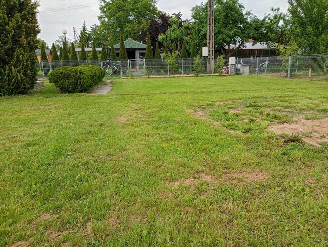 Ogródek działowy ROD Złote Piaski