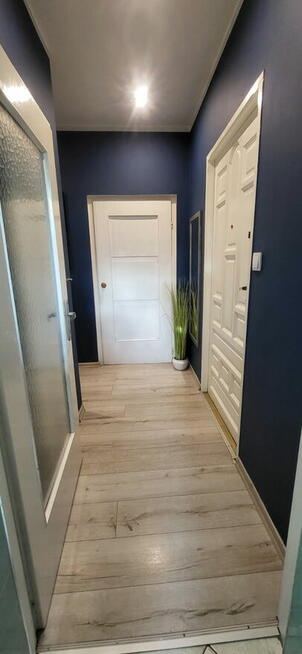 Duże mieszkanie Ludwikowice Kł. Bez pośredników